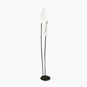 Mid-Century Floor Lamp with Acrylic Lampshades, 1960s