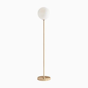 Brass Dimmable 06 Floor Lamp by Magic Circus Editions