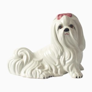 Salvadanaio a forma di cane in ceramica di Il Quadrifoglio, Italia, anni '60