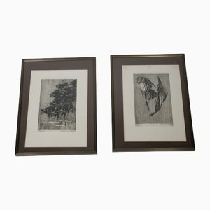Fish and Stallions, 20th-century, Print, Framed, Set of 2
