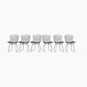 Stühle von Harry Bertoia für Knoll, 1960er, 6er Set