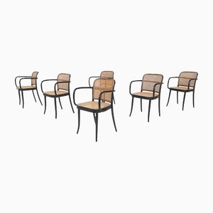 A811 Dining Chairs by Josef Hoffmann, Set of 6
