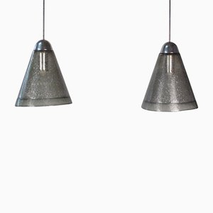 Pendant Lamps from Peill & Putzler, Set of 2