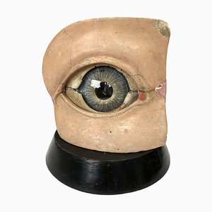 Handbemaltes Vintage Vintage Modell des Auges