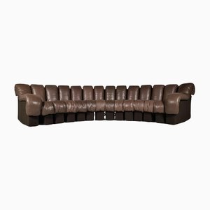 DS-600 Brown Leather Modular Sofa from De Sede, 1970s, Set of 14