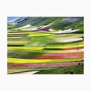 Giuseppe Marani, Nuances, Original Photograph, 2010s