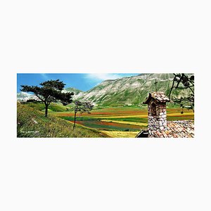 Giuseppe Marani, The Rest of the Rainbow, Original Photograph, 2010s