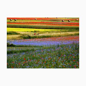 Giuseppe Marani, Eden, Original Fotografie, 2010er