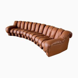DS-600 Tatzelwurm Sofa in Leather from De Sede, Set of 13