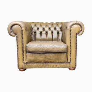 Fauteuil Club Chesterfield en Olive