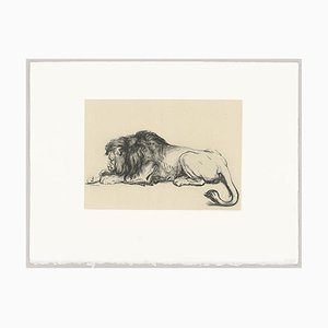 Dominique-Vivant Denon, Reclining Lion Gnawing at a Bone, 18th-Century, Etching