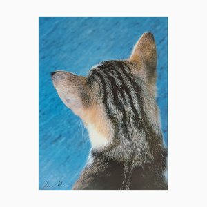 Roni Horn, ohne Titel (Kitty Cat), 2000er, Offsetdruck