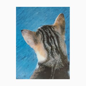 Roni Horn, Untitled (Kitty Cat), 2000s, Offset Print