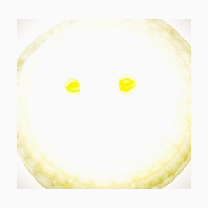 Olivier Attar, Emo, 2021, Print on Aluminum