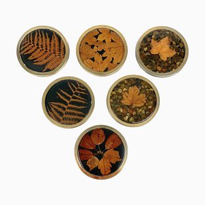 Italian Acrylic Glass and Brass Barware Coasters with Leaf Inclusions from Christian Dior, 1960s, Set of 6