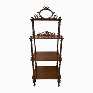 Estantería Whatnot victoriana antigua de madera nudosa de nogal