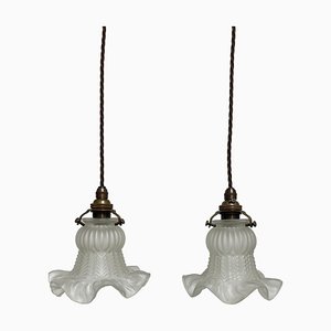 Vintage French Floral Frosted Glass Ceiling Pendant Lights, Set of 2