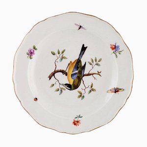 Antique Plate in Hand-Painted Porcelain from Meissen