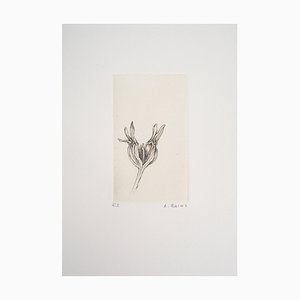 Cecile Reims, Morning Flower, 2003, Original Etching