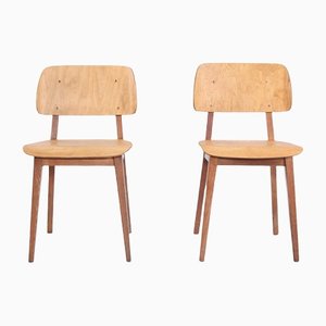 Irene Chairs by Dirk Braakman for Pastoe, Set of 2
