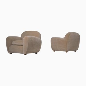 Poltrone curve in quercia e mohair, anni '50