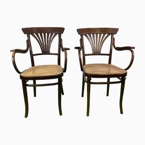 Armchairs from Thonet, Set of 2