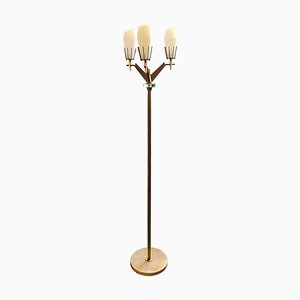 Mid-Century Modern Floor Lamp in Brass and Glass from Arredoluce, 1960s