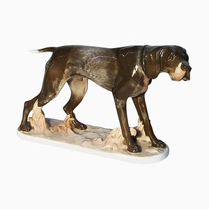 Figurine Chien Pointeur par F. Diller pour Rosenthal Porcelain