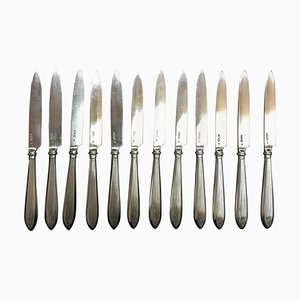 Silver Rib Model Fruit Knives, Netherlands, 1920s, Set of 12