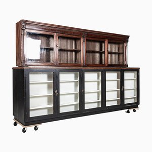 Mobiletto a muro da farmacia smaltato in mogano, Regno Unito, XIX secolo