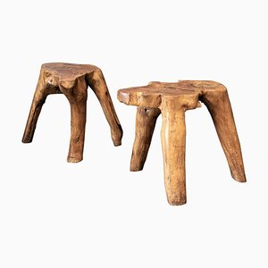 Tables d'Appoint Primitive en Racine de Teck, Angleterre, Set de 2