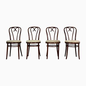 Chaises en Bois Courbé, 1950s, Set de 4