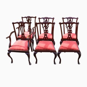 Georgian Style Dining Chairs in Mahogany, Set of 6, 1900s