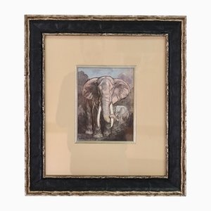 Paul Jouve, Elefant mit Jungem, años 30, Francia, Litografía, Enmarcado