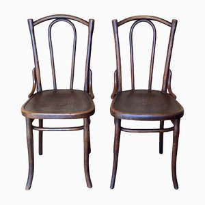 Viennese Chairs in Bug Wood with Embossed Seat from Thonet, 1900, Set of 2