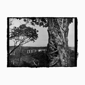 Roberto Vignoli, Iguazu 110, Original Fotografie, 2007