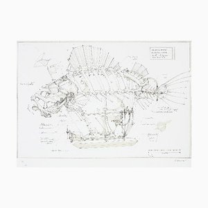 François Delaroziere, The Pirate Fish, Original Lithograph