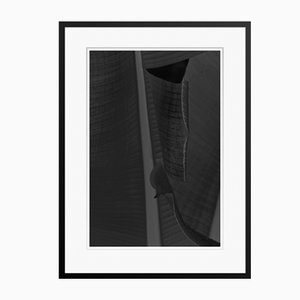 Stuart Möller, Black Leaf, 2020, Fotografia in bianco e nero