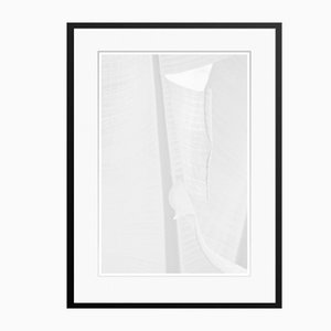 Stuart Möller, White Leaf, 2020, Fotografía en blanco y negro