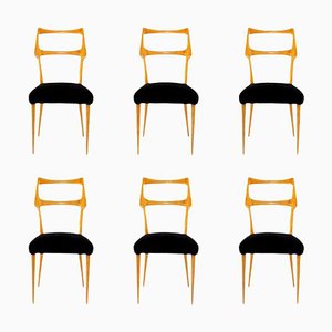 Mid-Century Dining Chairs in Maple by Augusto Romano, Italy, Set of 6
