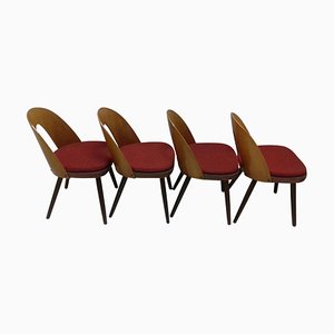 Design Dining Chairs by Antonín Šuman, 1960s, Set of 4