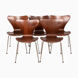Series 7 Model 3107 Chairs in Rosewood by Arne Jacobsen, 1960s, Set of 5