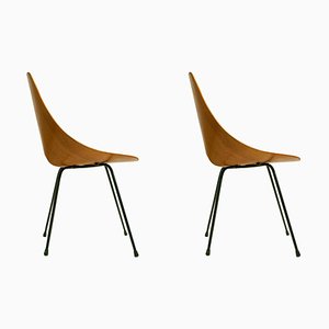 Medea Chairs by Vittorio Nobili, Set of 2