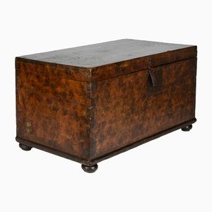 Solid Wood Trunk