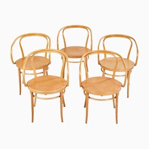 NO. 9 Armchair by August Thonet