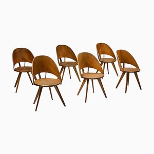 Italian Plywood Dining Chairs, 1940s, Set of 6
