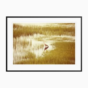 Stuart Möller, Massachusetts Heron, 2020, Colour Photograph