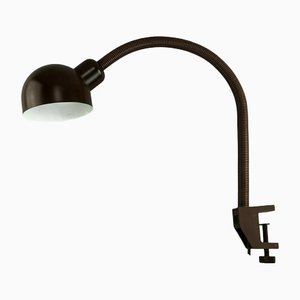 Lampe de Bureau Flexible Mid-Century, Allemagne