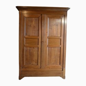 Large Antique Cupboard in Oak