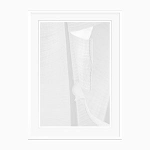 Stuart Möller, Palm Blue House, 2020, Fotografía en blanco y negro